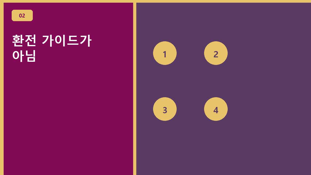 환전 가이드가 아님